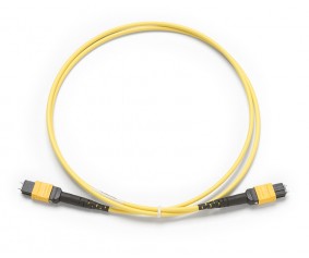 Шнур тестовый Fluke Networks TRC-SM-MPOAPC-PP-A